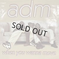 ADM - When You Wanna Move (12'') (コンディションの為特価!!)