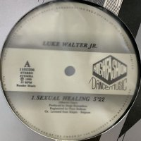 Luke Walter Jr. - Sexual Healing (12'')
