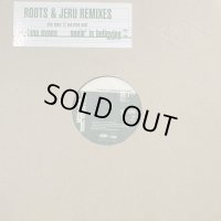 Adriana Evans - Seein' Is Believing (Roots Remix & Jeru Remix) (12'')