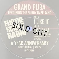 Grand Puba, The Sunny Daze Band - I Like It / The Jam (7'')