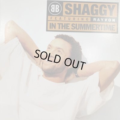 画像1: Shaggy feat. Rayvon - In The Summertime (b/w Boombastic) (12'')