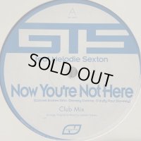 GTS feat. Melodie Sexton - Now You're Not Here (b/w Take To The Sky) (12'')