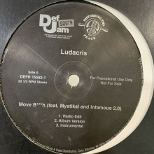 他の写真1: Ludacris feat. Mystikal & Infamous 2.0 - Move Bitch (12'')