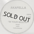 Akafella (Akinyele) - Put In Your Mouth (b/w In The World) (12'')