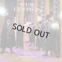 New Edition - Can You Stand The Rain (12'') (キレイ！！)