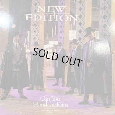 画像1: New Edition - Can You Stand The Rain (12'') (キレイ！！)
