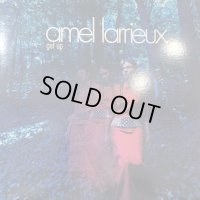  Amel Larrieux - Get Up (12'')