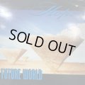 Hope - Future World (12'')