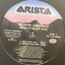 他の写真1: Alison Limerick - Make It On My Own (12'') (キレイ！！)