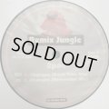 2Pac - Changes (X-Mix & Remix Jungle) (12'')