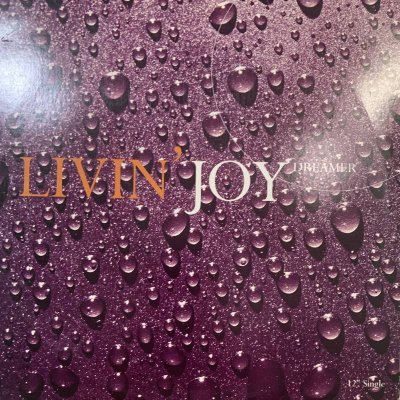 画像1: Livin' Joy - Dreamer (12'')