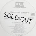 Timbaland & Magoo feat. Aaliyah & Missy Elliott - Up Jumps Da Boogie (12'')