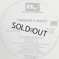 Timbaland & Magoo feat. Aaliyah & Missy Elliott - Up Jumps Da Boogie (12'')