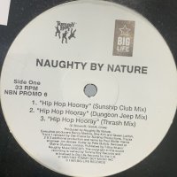 Naughty By Nature - Hip Hop Hooray (Thrash Mix) (12'')