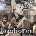 Naughty By Nature feat. Zhane - Jamboree (12'')