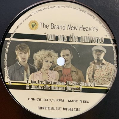 画像1: The Brand New Heavies - You Are The Universe (Remixes) (12'') 