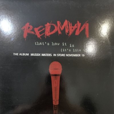 画像1: Redman feat. K-Solo - That's How It Is (It's Like That) (12'') (Promo Jacket !!)
