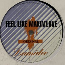 他の写真2: Lumidee feat. Shaggy - Feel Like Makin' Love (12'')