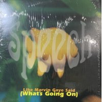 Speech - Like Marvin Said (What's Going On) (12'')