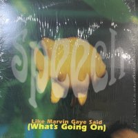 Speech - Like Marvin Said (What's Going On) (12'')