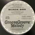Black Box - Fall Into My Love (b/w Native New Yorker) (12'') (再発新品！！)