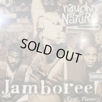 Naughty By Nature feat. Zhane - Jamboree (12'') (奇跡の新品未開封!!)