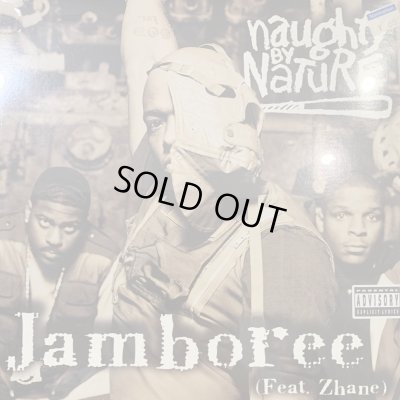 画像1: Naughty By Nature feat. Zhane - Jamboree (12'') (奇跡の新品未開封!!)