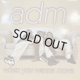ADM - When You Wanna Move (12'') (ピンピン！)