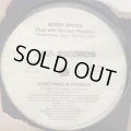 Bobby Brown Duet With Whitney Houston - Something In Common (12'') (US Promo !!) (ピンピン！！)