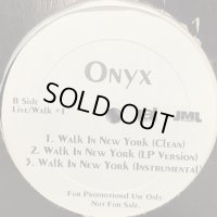 Onyx - Walk In New York (12'')