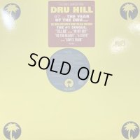 Dru Hill - Dru Hill (inc. Love's Train and more) (2LP) (キレイ！！)