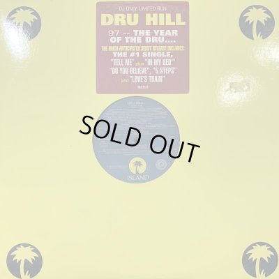 画像1: Dru Hill - Dru Hill (inc. Love's Train and more) (2LP) (キレイ！！)