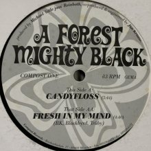 他の写真1: A Forest Mighty Black - Fresh In My Mind (12'')