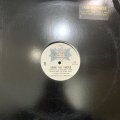 Blackstreet & Mya feat. Mase & Blinky Blink - Take Me There (Long Version) (12'') (キレイ！)