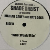 Shade Sheist feat. Mariah Carey & Nate Dogg - What Would U Do (12'')