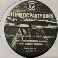 DJ Ghetto Jiggy & Cali Child - Still Alive (Niggaz Nature Mega Mix) (b/w Return Of The 213) (12'')