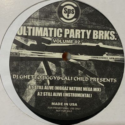 画像1: DJ Ghetto Jiggy & Cali Child - Still Alive (Niggaz Nature Mega Mix) (b/w Return Of The 213) (12'')