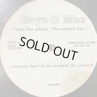 Boyz II Men feat. MC Lyte - What You Won't Do For Love (12'') (キレイ！！)