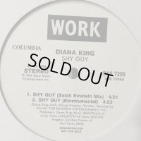 Diana King - Shy Guy (Salah Einstein Mix) (12'') (キレイ！！)