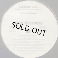 Big Daddy Kane - In The PJ's (b/w Show & Prove) (12'') (Inst入りUS Promo !!)