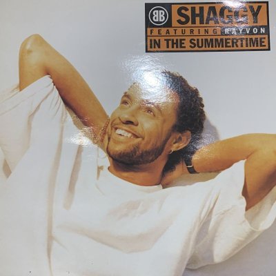 画像1: Shaggy feat. Rayvon - In The Summertime (12'') (キレイ！)