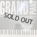 The Mixmaster - Grand Piano (12'') (キレイ！)