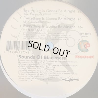 画像1: Sounds Of Blackness - Everything Is Gonna Be Alright (12'') (ピンピン！！)