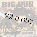 Big Pun feat. Noreaga - You Came Up (12'') (キレイ！！)