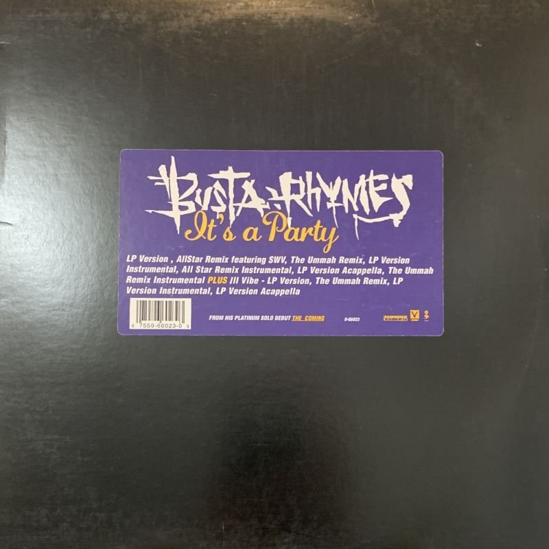 BUSTARHYMES LP レコード - 洋楽