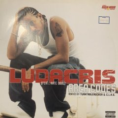 Ludacris feat. Nate Dogg - Area Codes (Turntablerocker Rmx