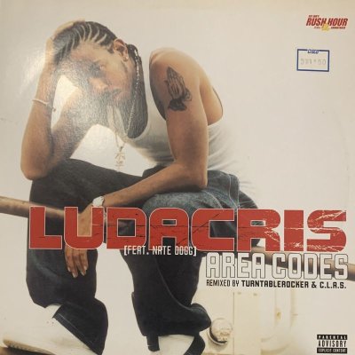 画像1: Ludacris feat. Nate Dogg - Area Codes (Turntablerocker Rmx) (12'') (キレイ！！)