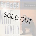 Shaggy feat. Rayvon - Nice And Lovely (12'') (キレイ！！)
