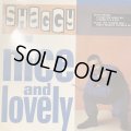 Shaggy feat. Rayvon - Nice And Lovely (12'') (b/w Oh Carolina (Konders Flatbush Mix)) (キレイ！！) 