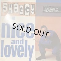 Shaggy feat. Rayvon - Nice And Lovely (12'') (b/w Oh Carolina (Konders Flatbush Mix)) (キレイ！！) 